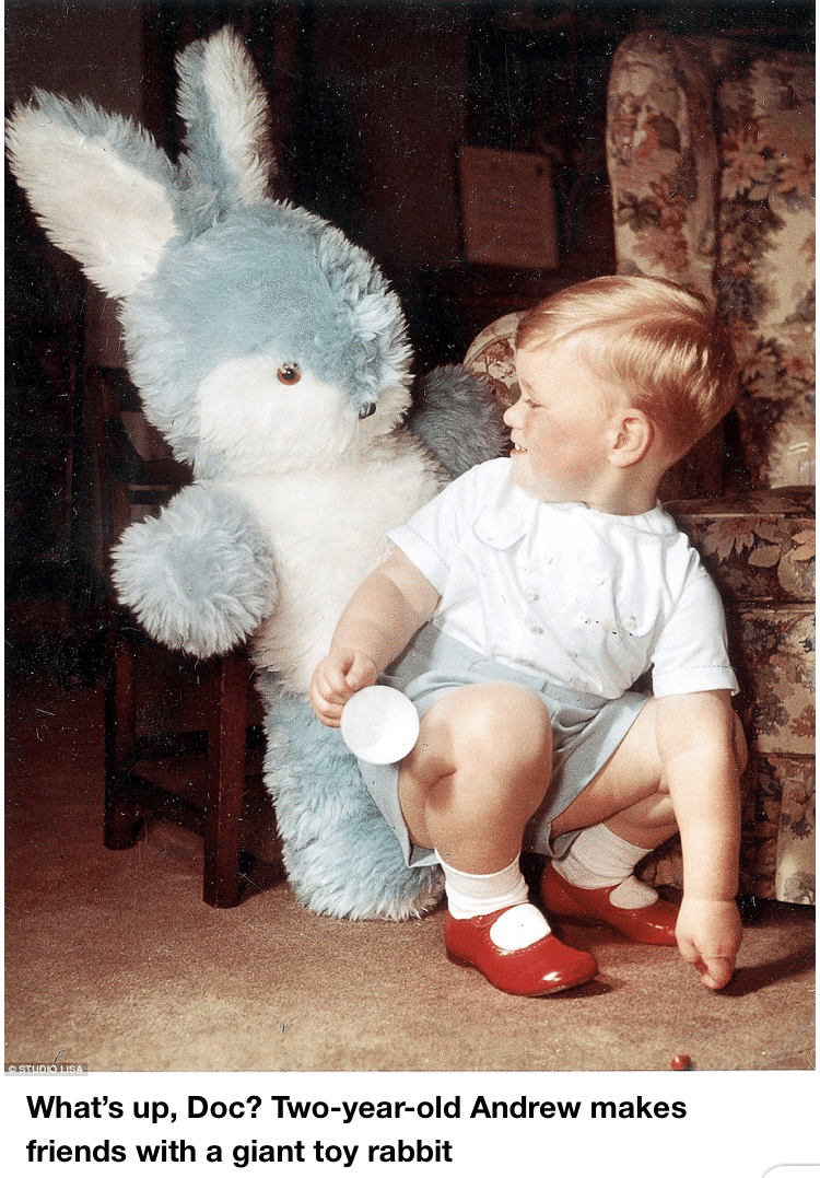 英国の老舗テディベアメーカー🧸 CHAD VALLEY(チャドバレー)｜ぼくはくま