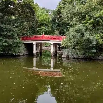 Zの非道徳な陰謀学