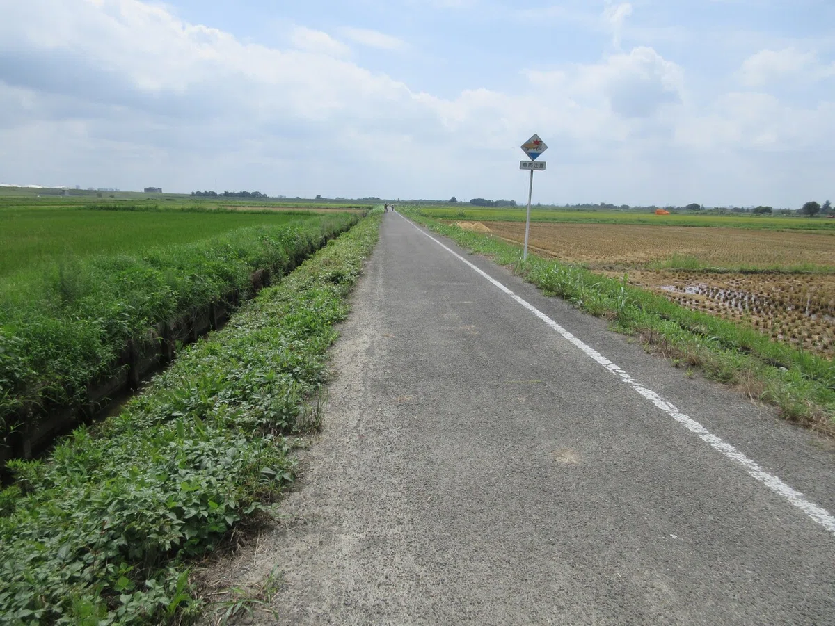 画像12