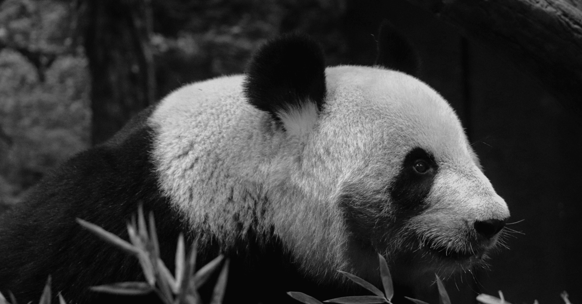 No 511 小黒恵子氏の紹介記事 77 名付け親コンビ がトントンの歌 小黒恵子童謡記念館 Note No 511 小黒恵子氏の紹介記事 77 名付け親コンビ がトントンの歌 小黒恵子童謡記念館 Note