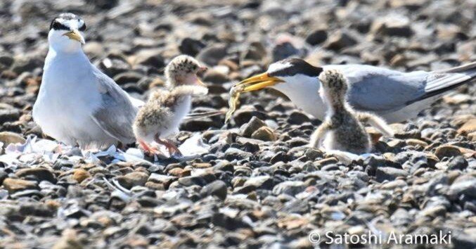 46a48cb034d5ffa6df420030ce4076