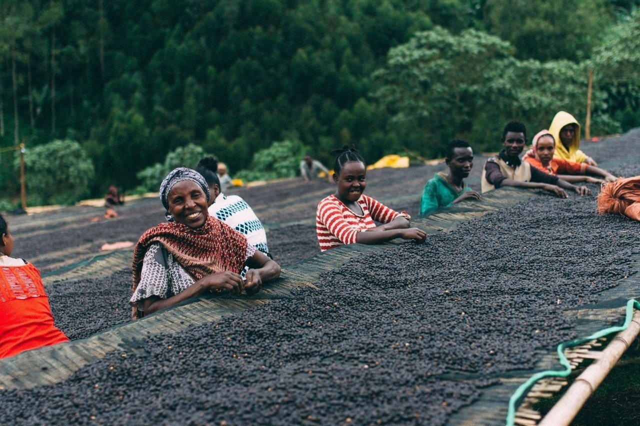 a5f35663d3c40841a9b8dcfbb68dca