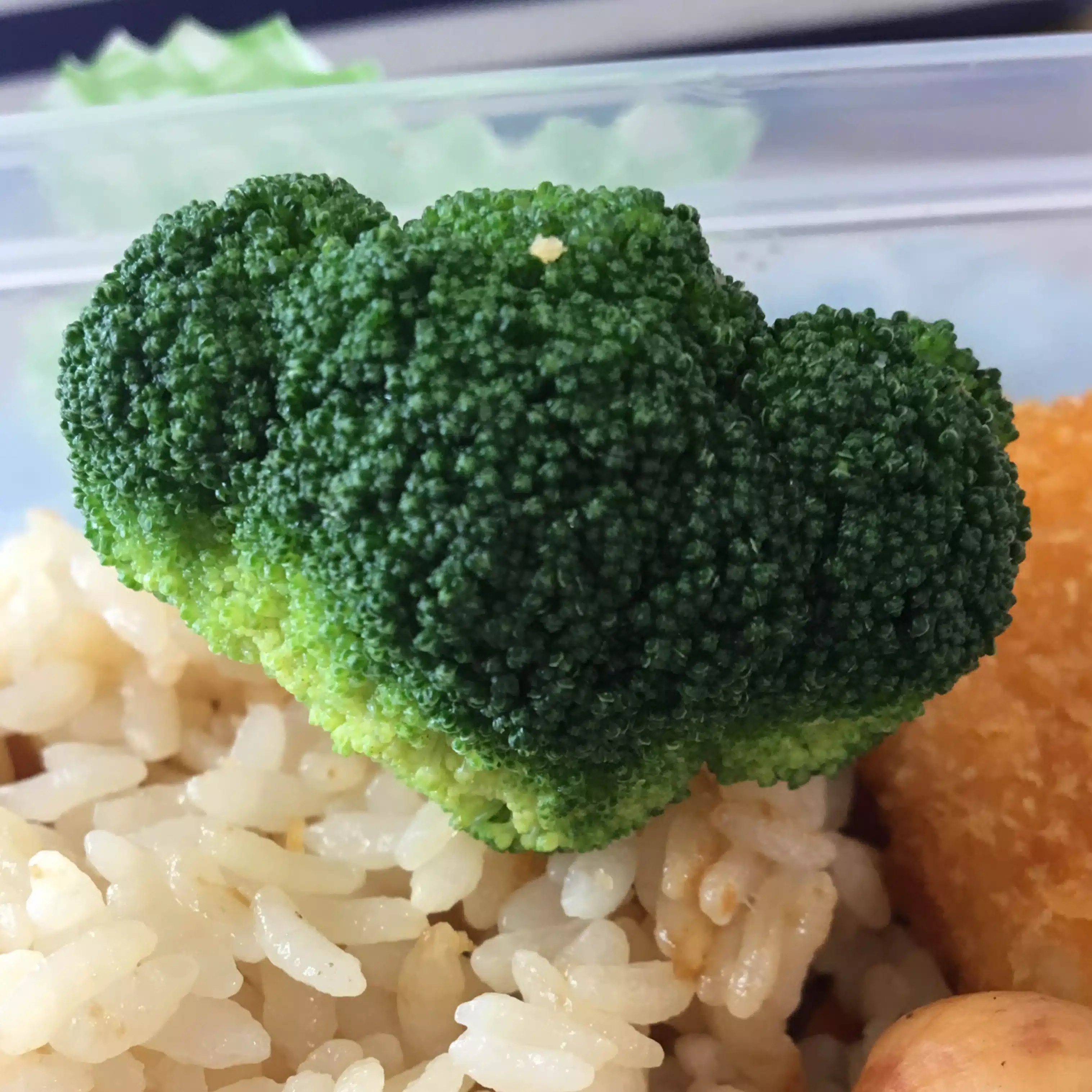 夏輝