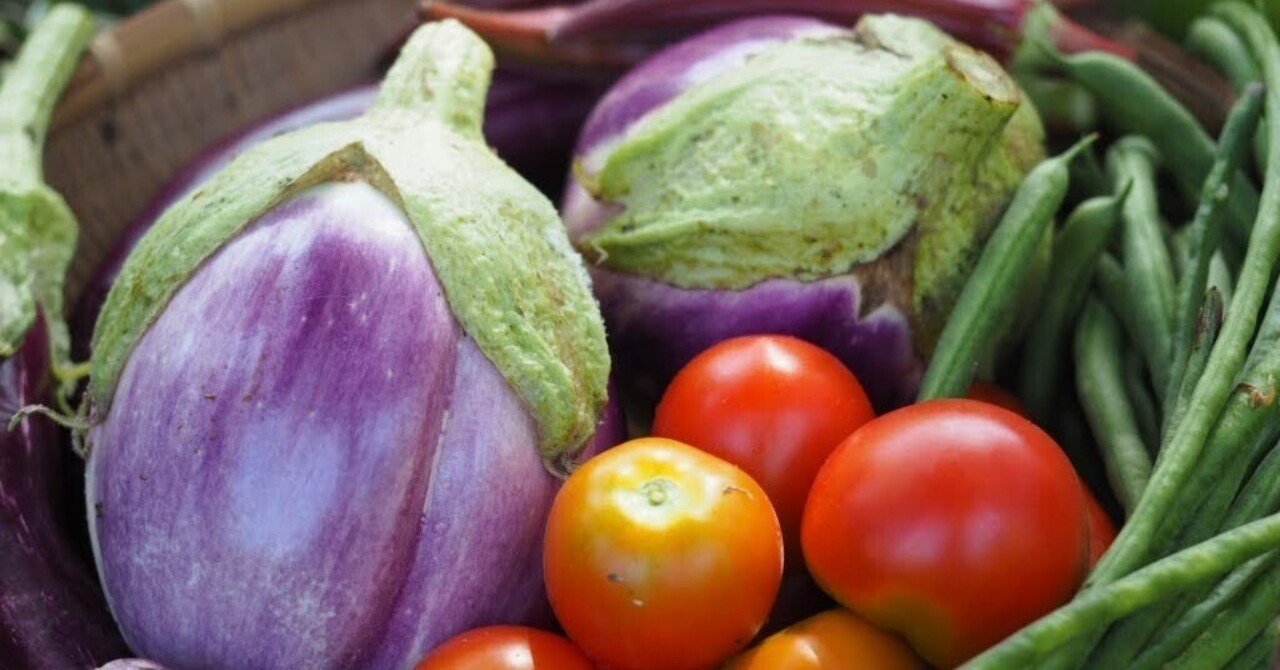 菜園の連作障害対策 月noco 里山ごはんのがっこう Note 菜園の連作障害対策 月noco 里山ごはんのがっこう Note