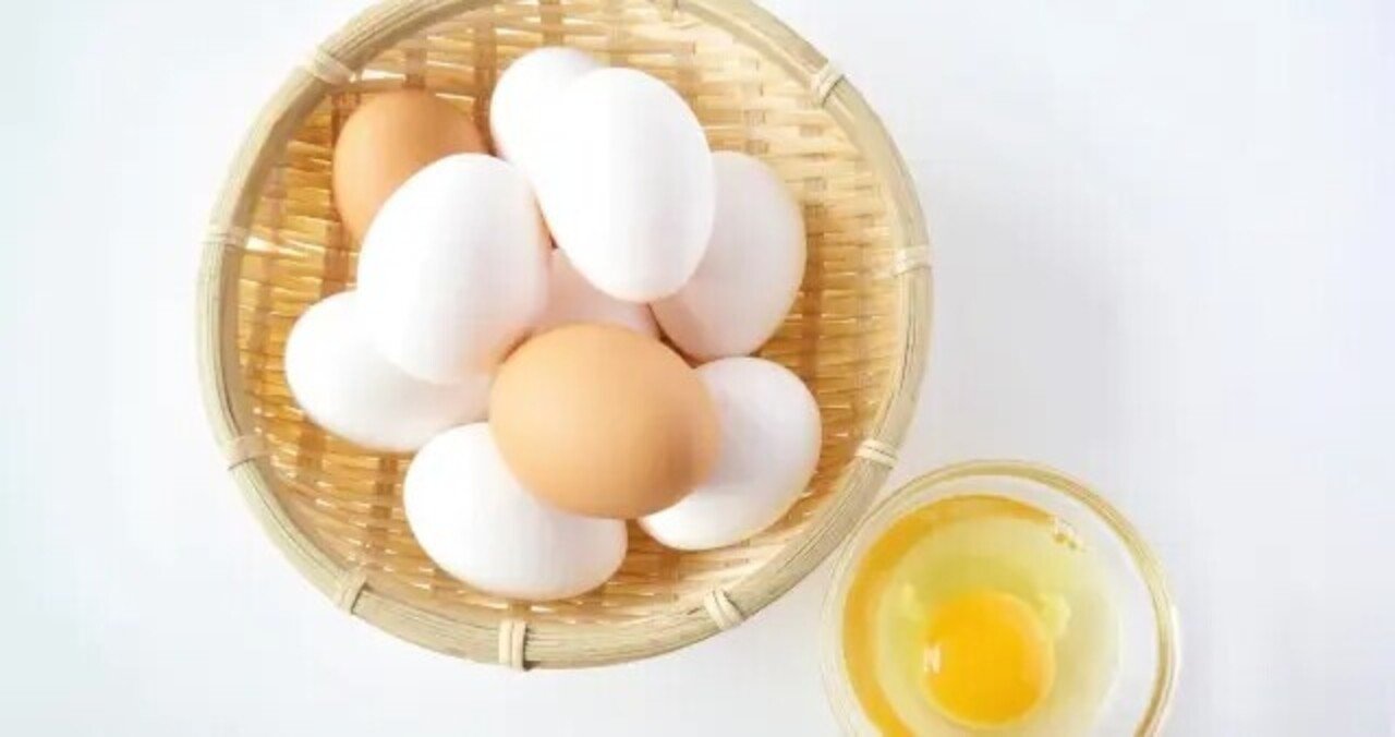 離乳食 卵 について みどりん Note 離乳食 卵 について みどりん Note