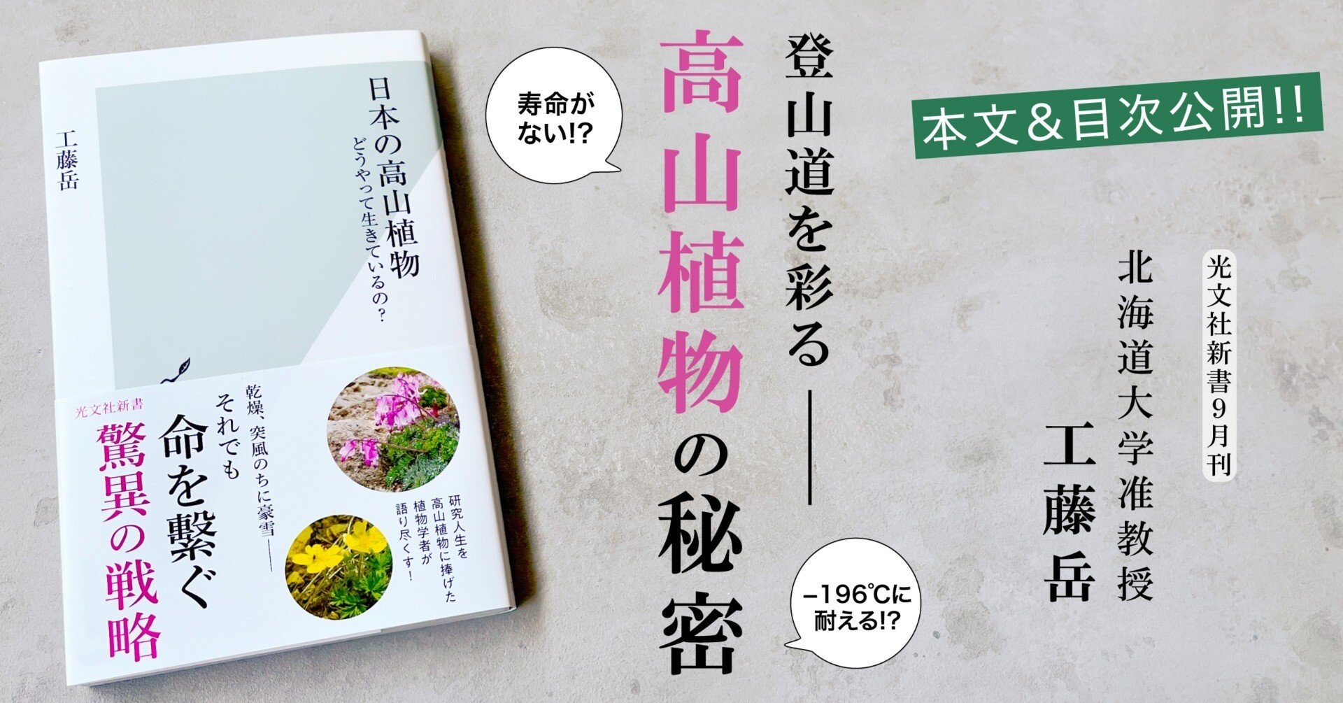 北海道の高山植物（大形本）　創土社　【中古ー非常に良い】 北海道の高山植物（大形本） 創土社 【中古ー非常に良い】 消費