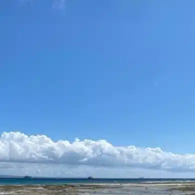 シヨトミ🍀サキ