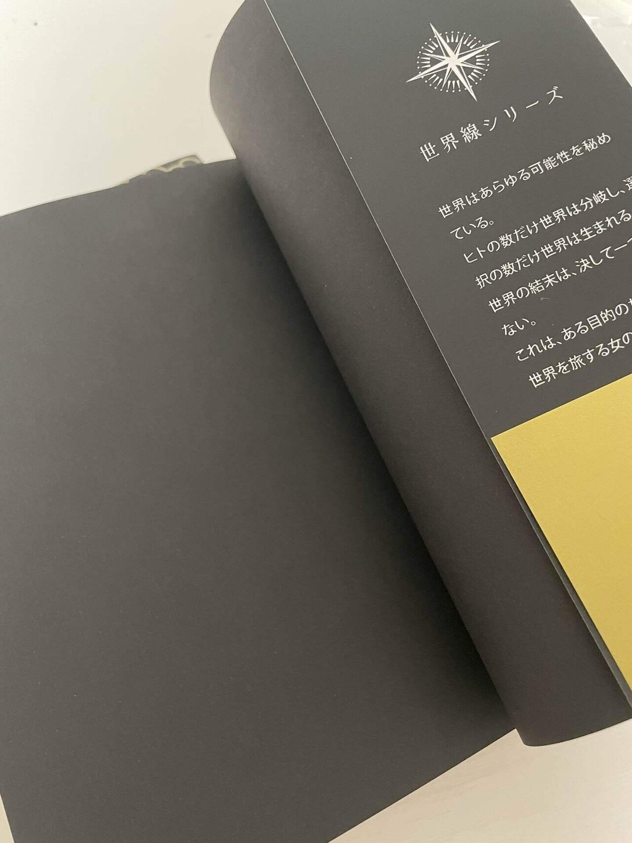 同人誌装丁/2022|卯月 同人誌装丁/2022|卯月