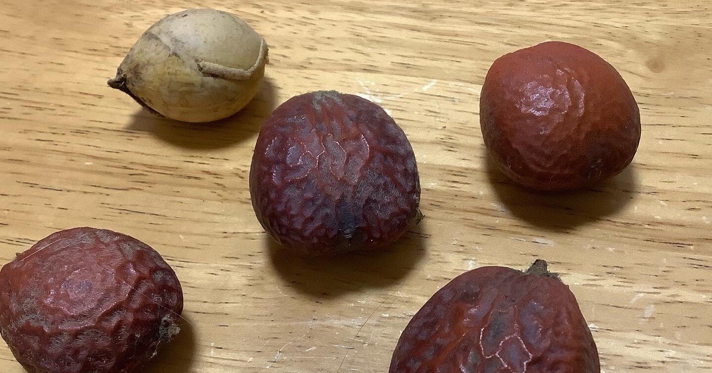 9bb62367a4e4b62e36f6a5caddb746