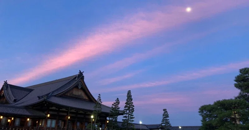 修養科潜伏日記　75日目