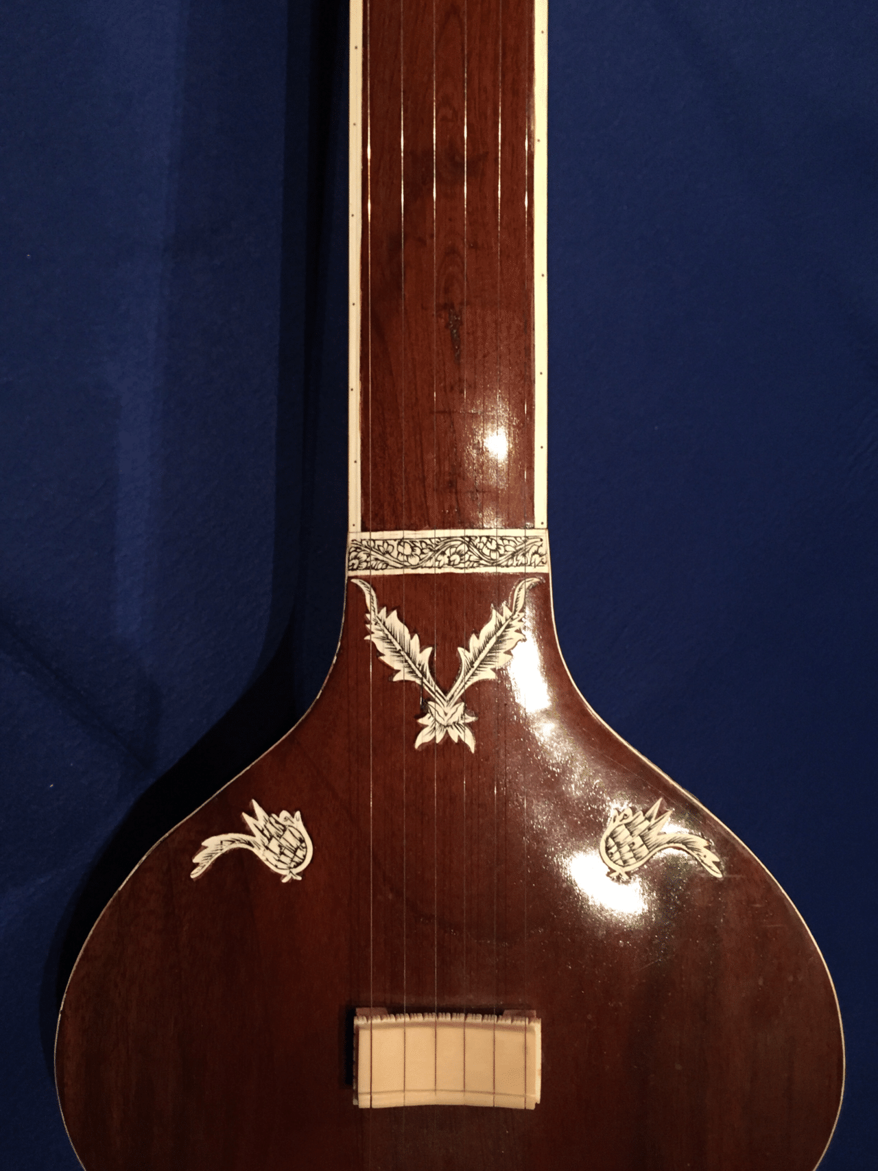 タンプーラの話|寺原太郎 タンプーラの話|寺原太郎