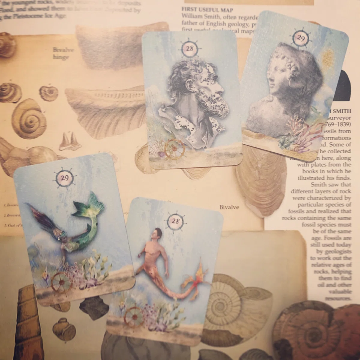 Tranquil Sea Lenormand 」レビュー｜扇浦レミイ@妖怪画家