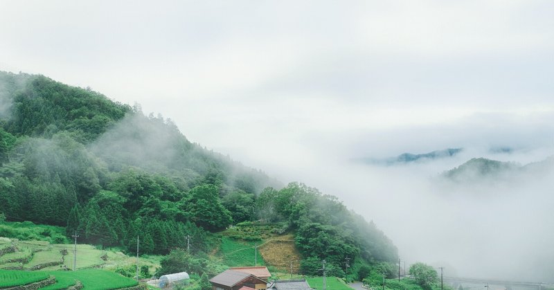 柿木村の山茶。コーラ小林の日本を、飲む。