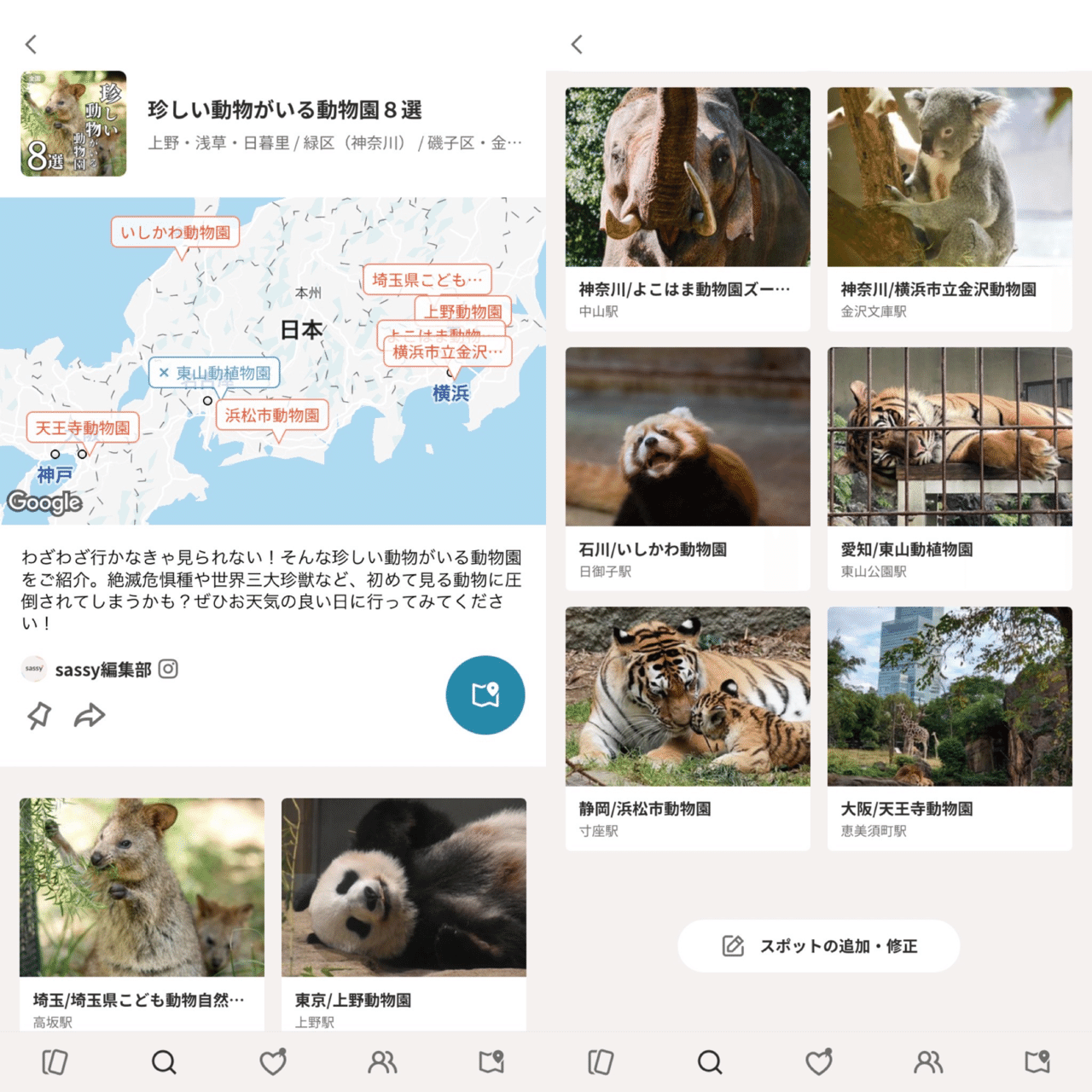 まとめマップ 珍しい動物がいる動物園８選 Sassy サッシー 編集部 Note