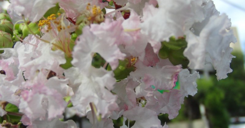 見るまえに跳べ の新着タグ記事一覧 Note つくる つながる とどける