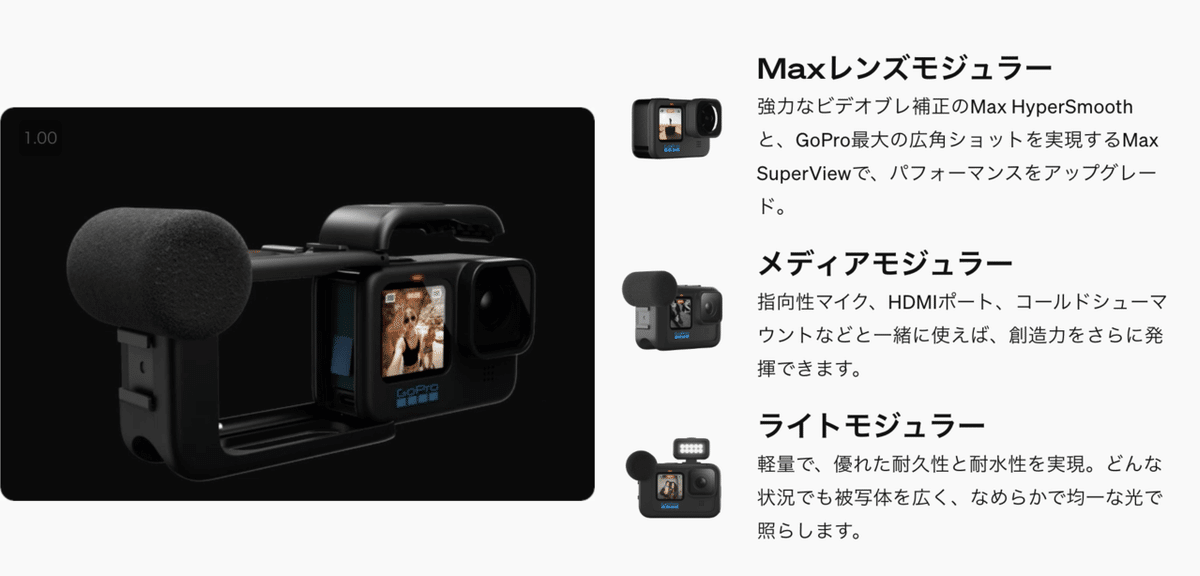 GoPro HERO11 HERO10違いと価格をレビュー比較とおすすめ