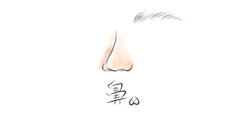 私の鼻の歴史【エッセイ Vol.3】