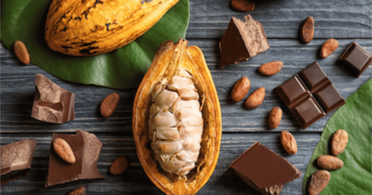 生産農家のエンパワーメントが進む「世界のカカオ、チョコレート市場の