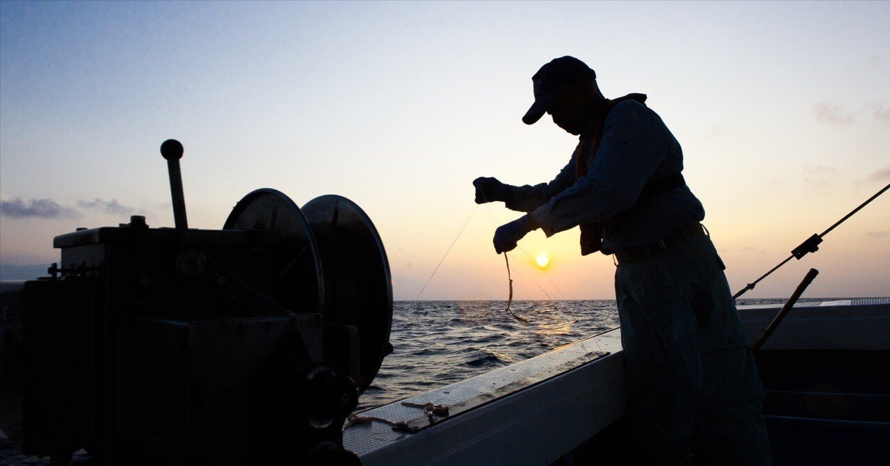 7956b1c61ee13d4cdd366adfe9b72f