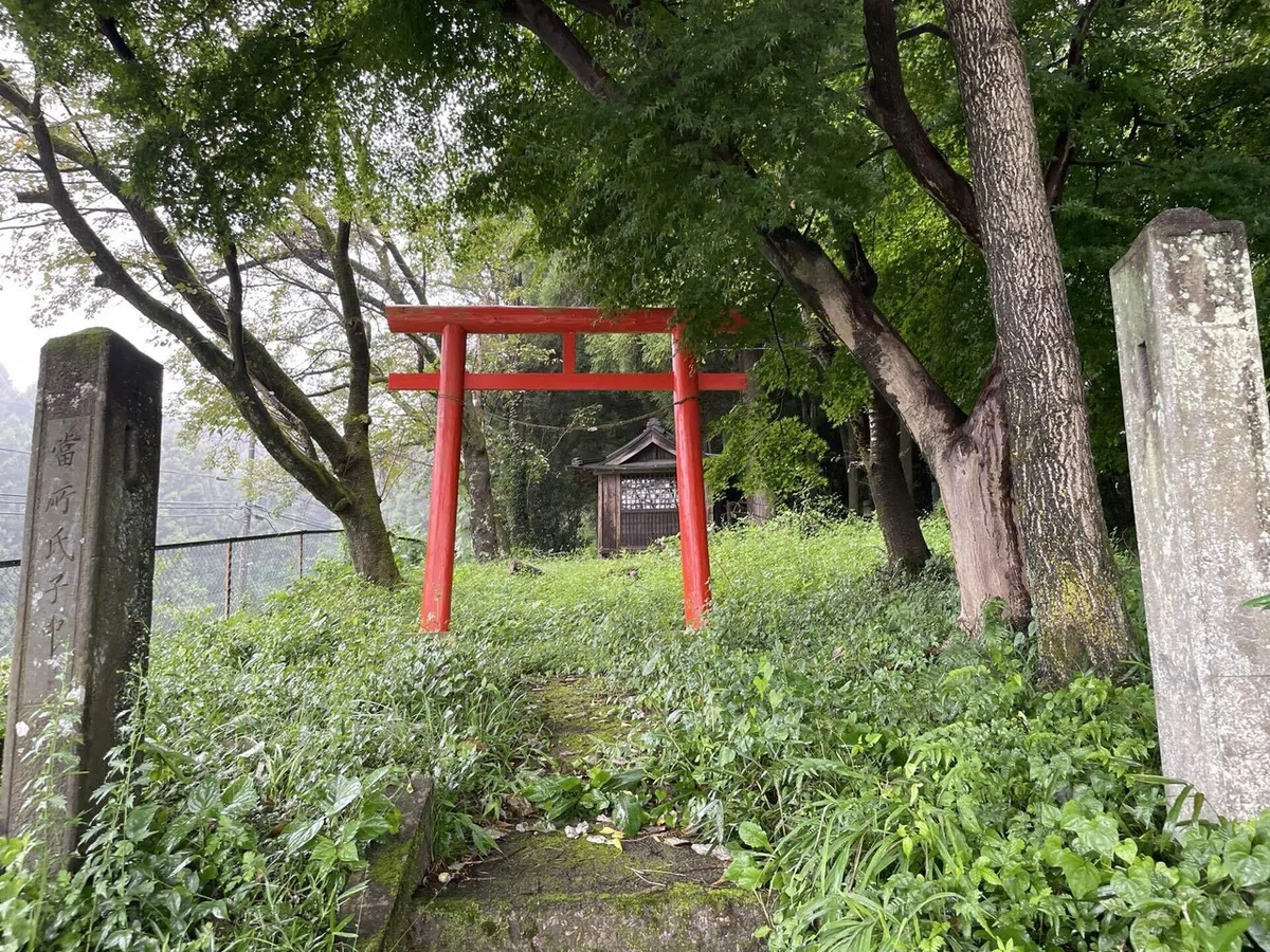 画像