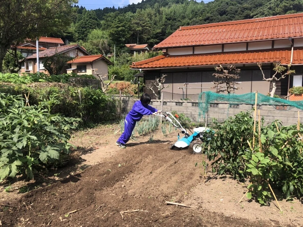 画像3