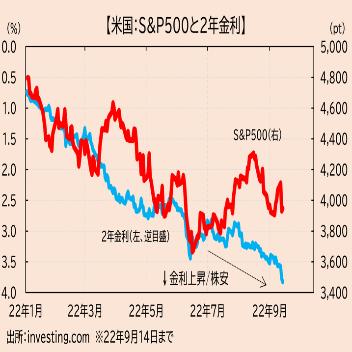 何故株は強いのか｜味ポン