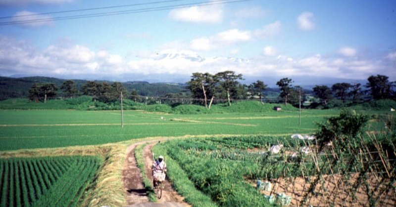 日々と写真,1996年～1997年4月