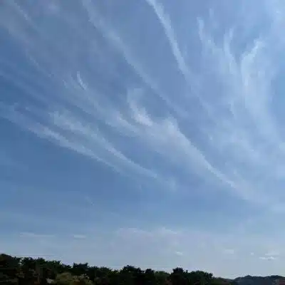 ポックル