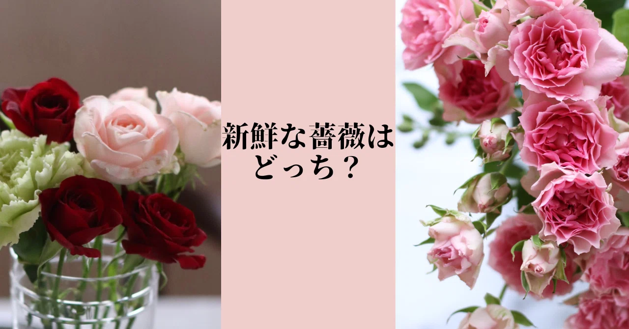 すぐに枯れる鮮度の低い花。買ってからガッカリしないための、新鮮な花 
