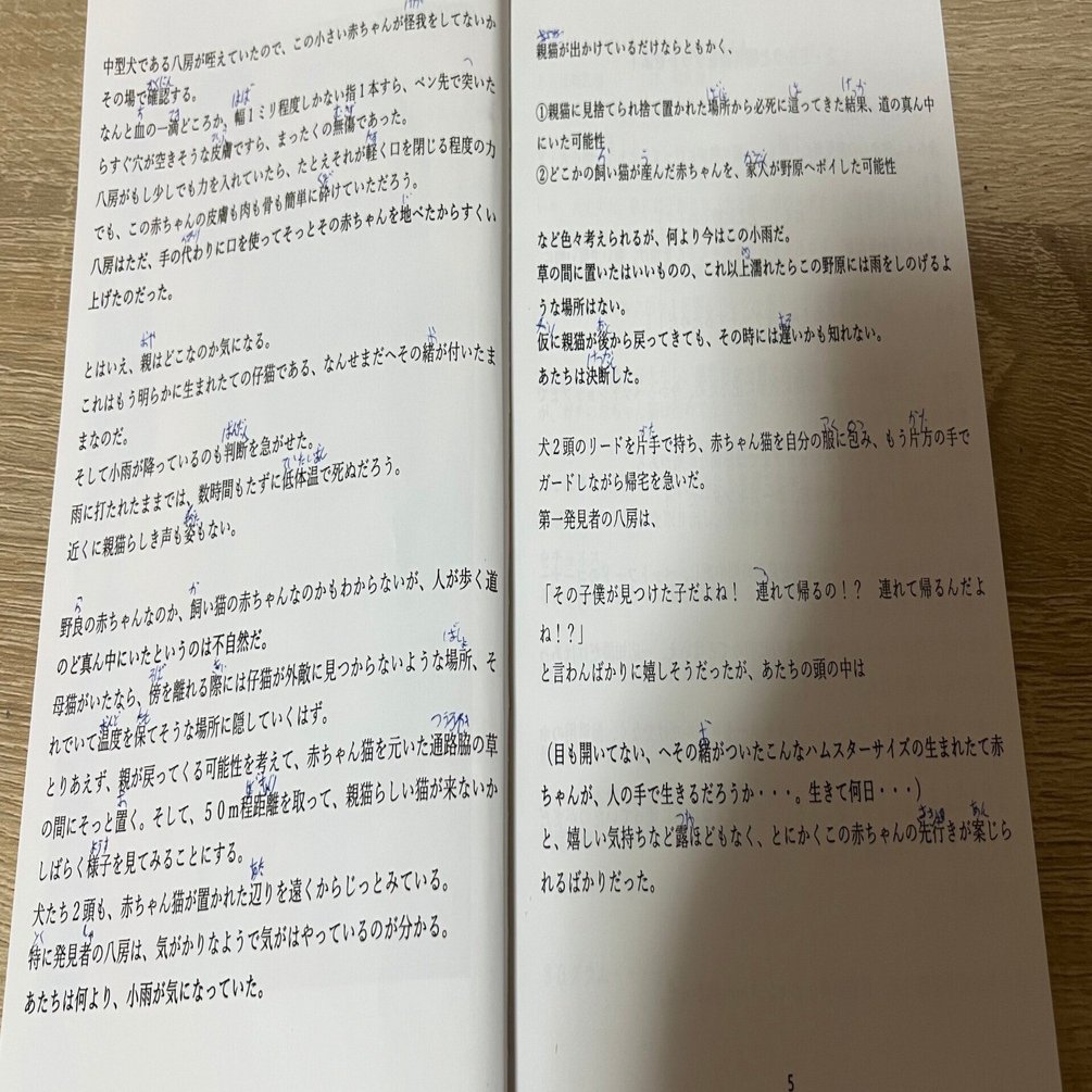 しぶきちゃんの本に読み仮名がなくて良かった ある親御さんからの感動した話 琥珀ベイビー Note