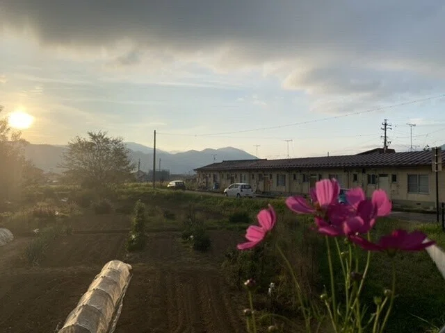 画像10