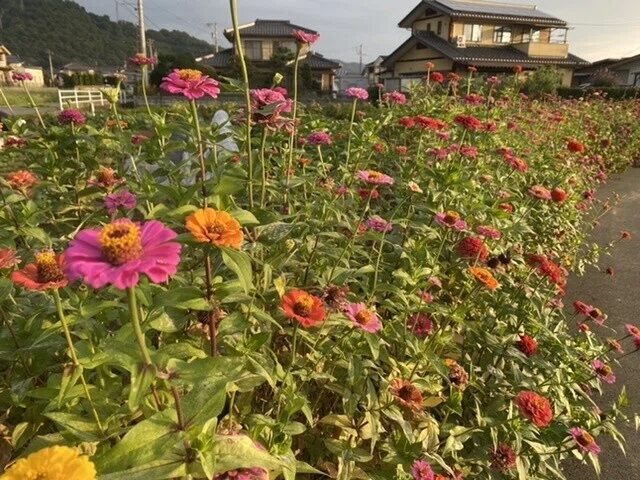 画像13