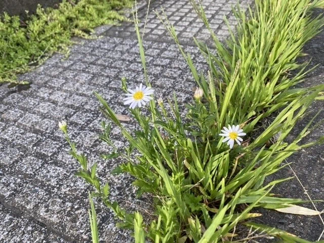 画像22