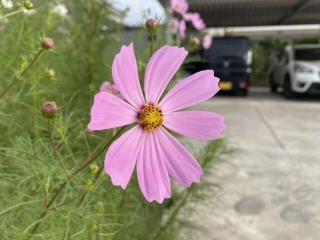 画像21