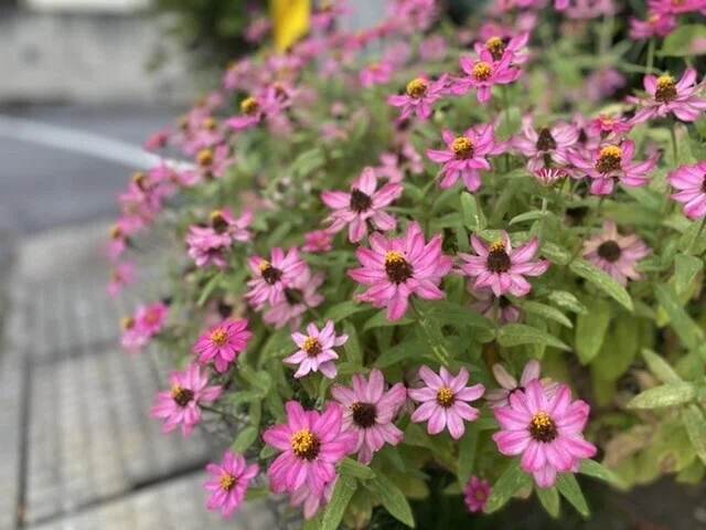 画像25