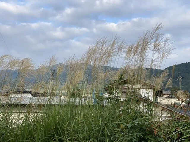 画像29