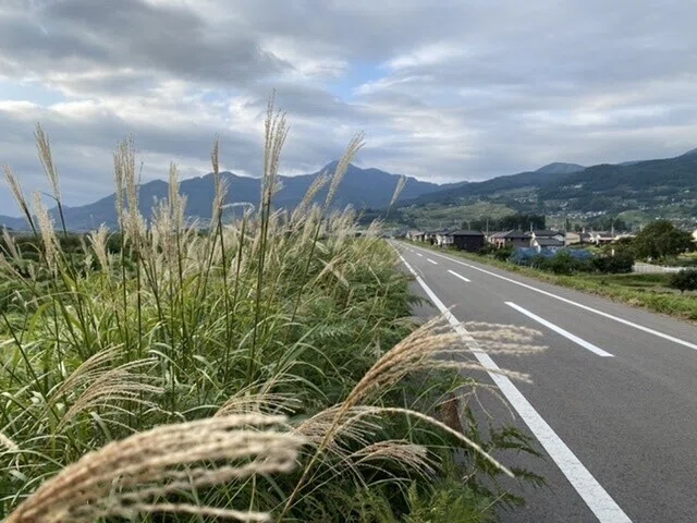画像30