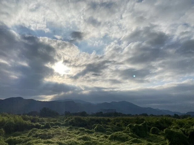 画像31
