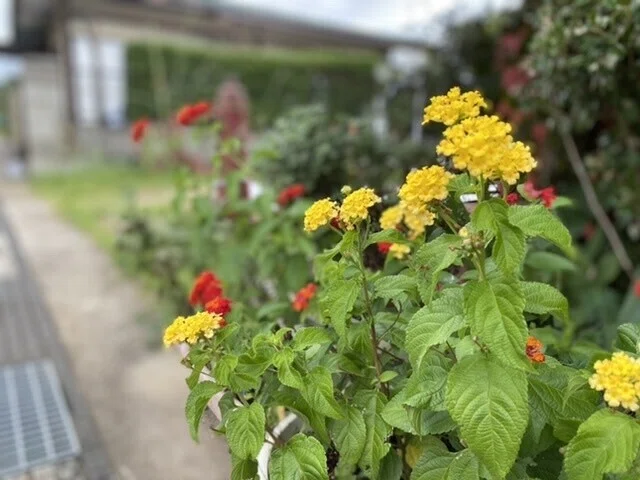 画像35
