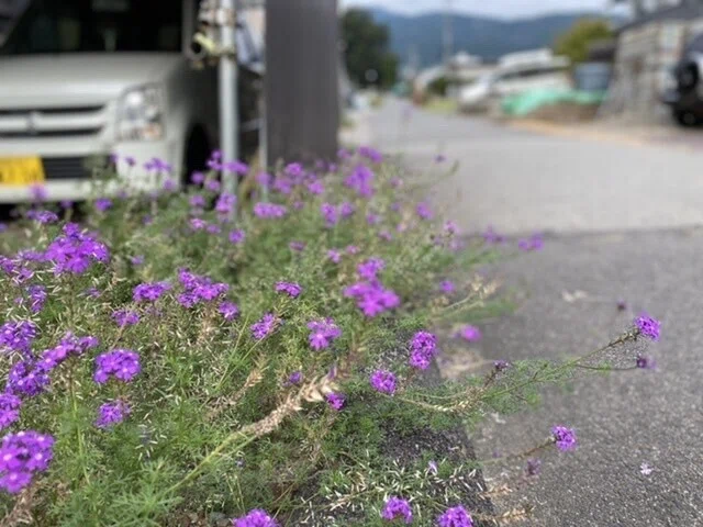 画像41