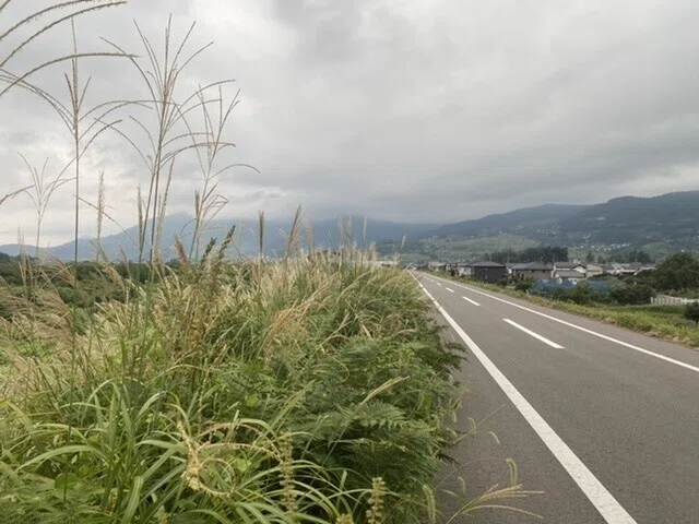 画像47