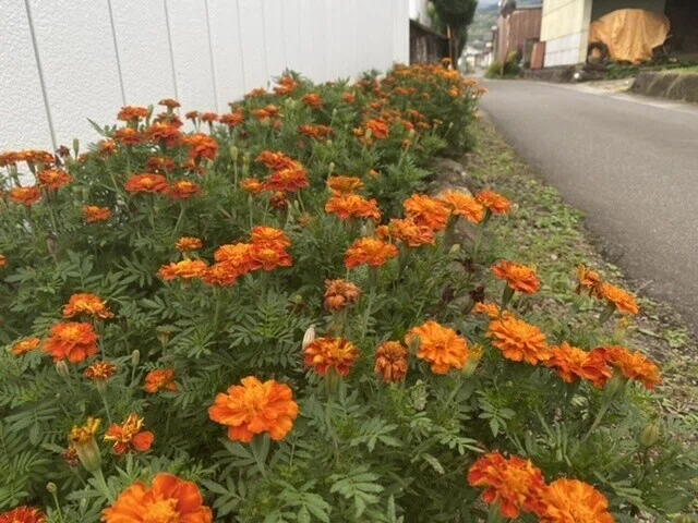 画像49