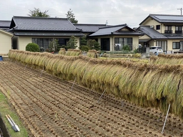 画像52