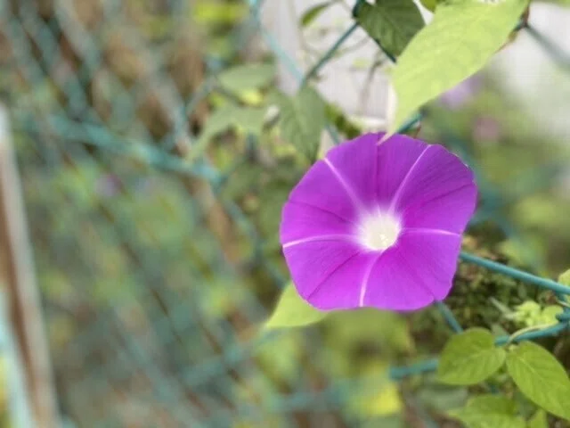 画像54