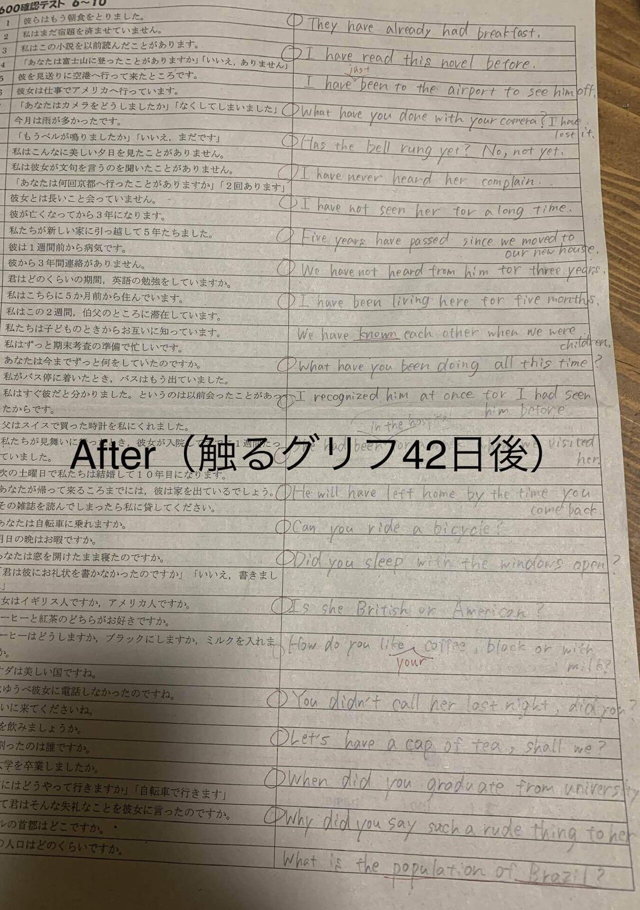 触るグリフ フォニックス （触るグリフ「英語綴り（スペル）学習