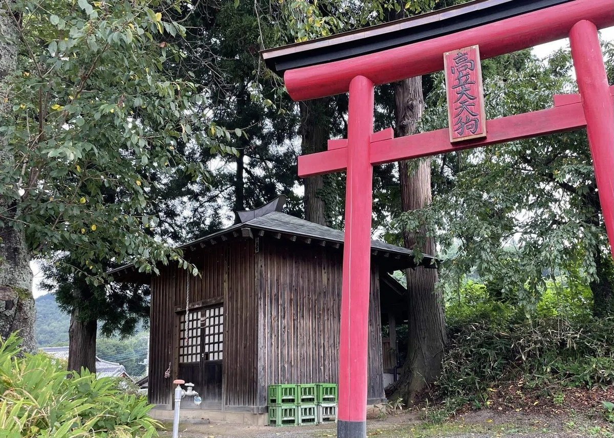 画像