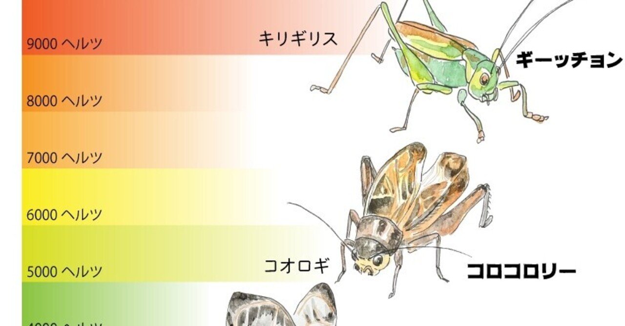 周波数ですみ分け秋の虫の声 自然ガイドのネタ帳 くますけ Note