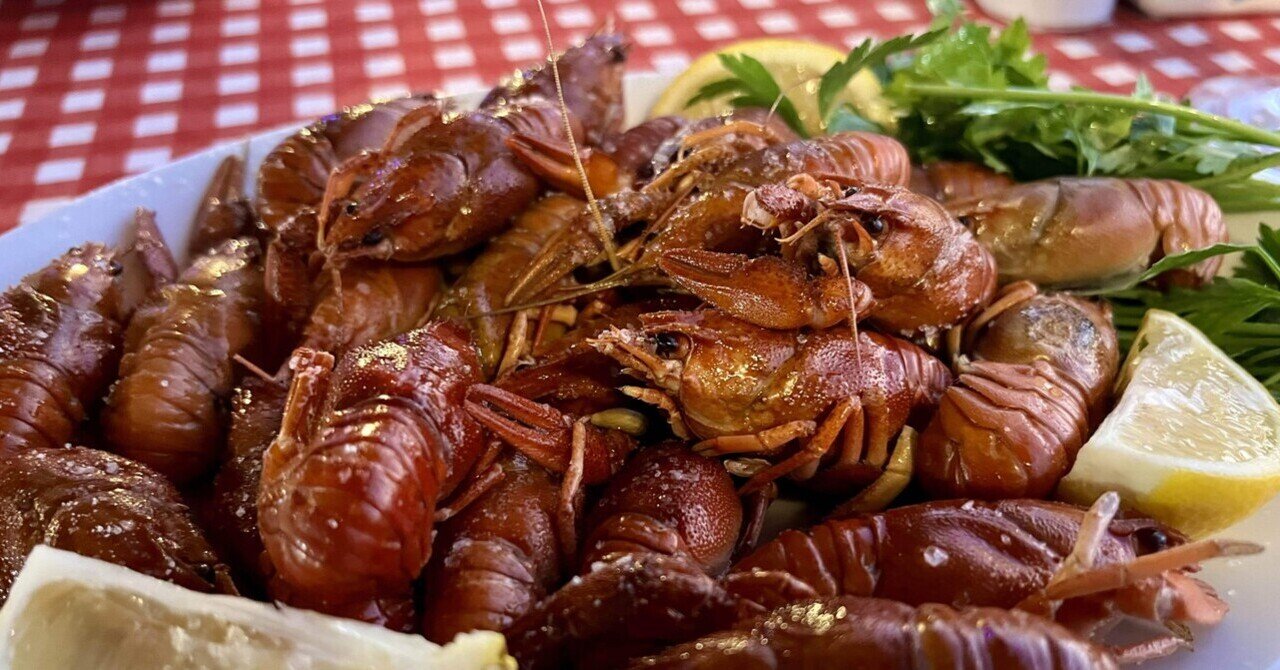 ザリガニを食す 無職放浪記 トルコ編 15 里犬 海外放浪中 Note ザリガニを食す 無職放浪記 トルコ編 15 里犬 海外放浪中 Note