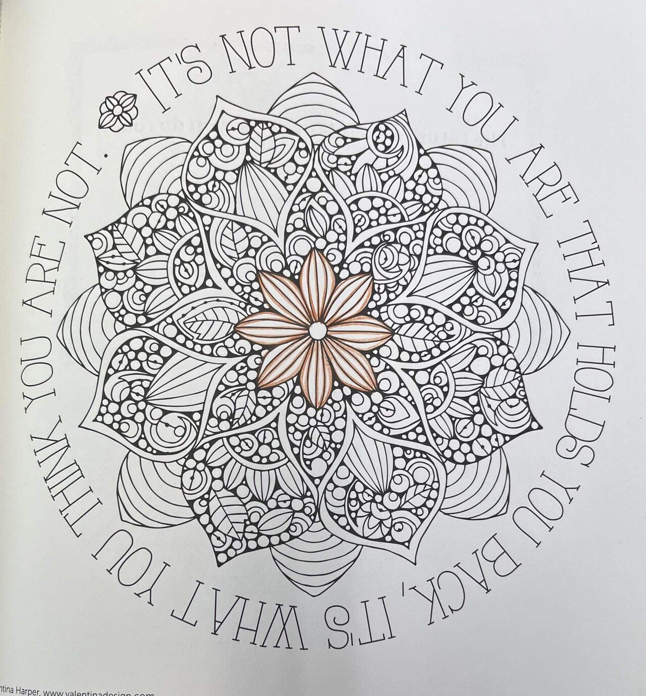 花模様マンダラ塗り絵が出来上がるまで その17 沙葉 Sawa Note