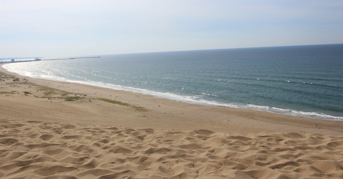 紬 ピラミッドと鳥 （H-464 袋帯 正絹 六通 金糸 銀糸 唐織 花喰い鳥  